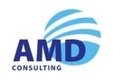 AMD Consulting